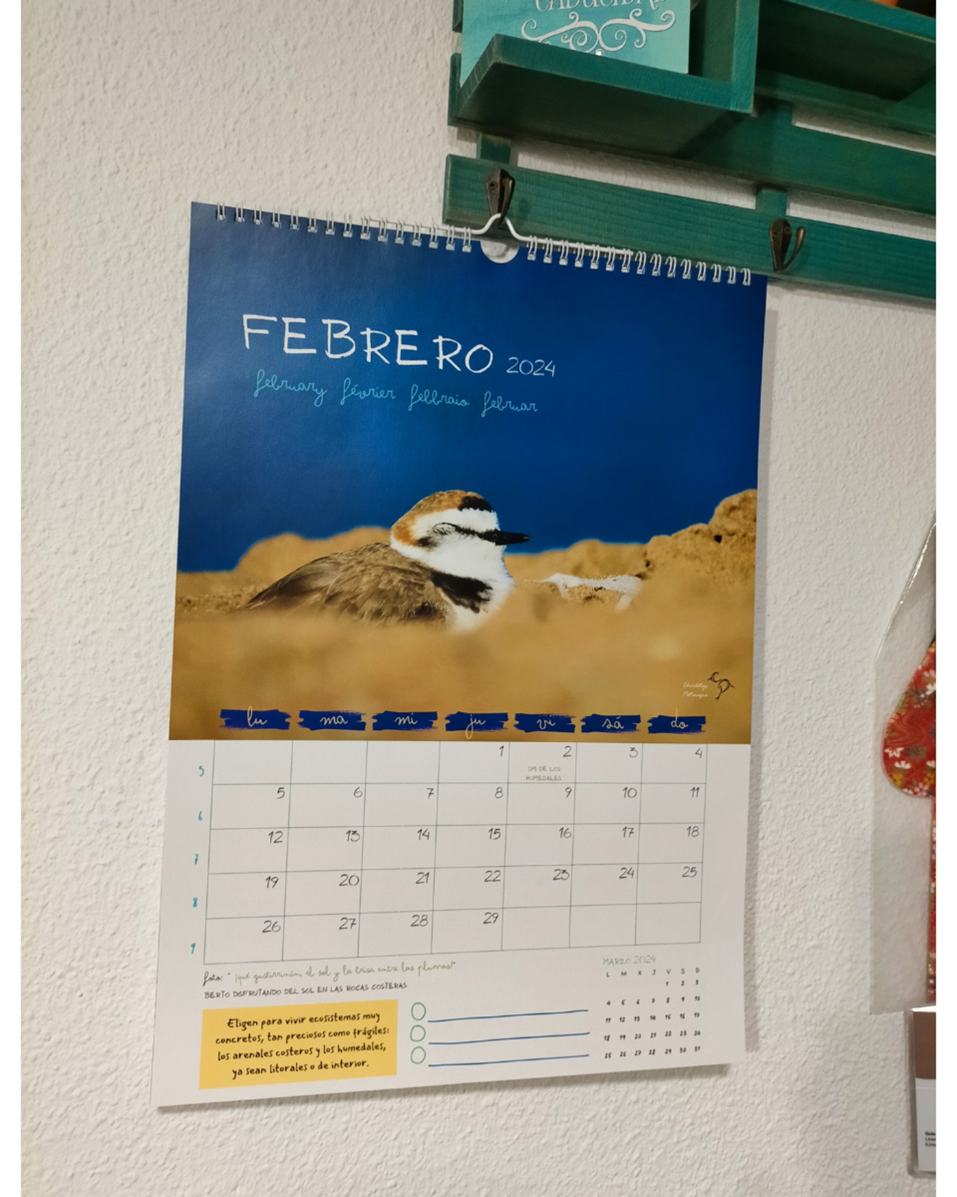 Calendario de pared 2024 - 3